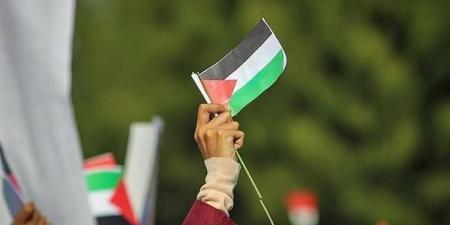 عبدالمنعم سعيد: الفصائل الفلسطينية السبب في كل ما يحدث بالضفة الغربية