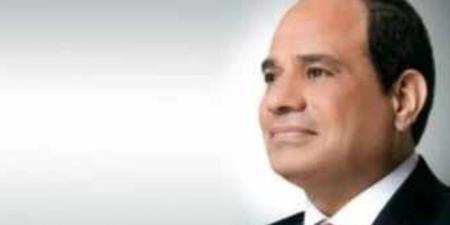 الرئيس السيسى: ضرورة استخدام الدولة آليات ضبط السوق والأسعار لتفادى الغلاء
