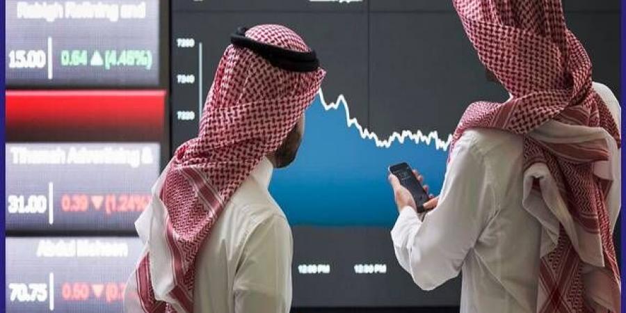 المحافظ الاستثمارية للأفراد بسوق الأسهم السعودية ترتفع 11% في 2025