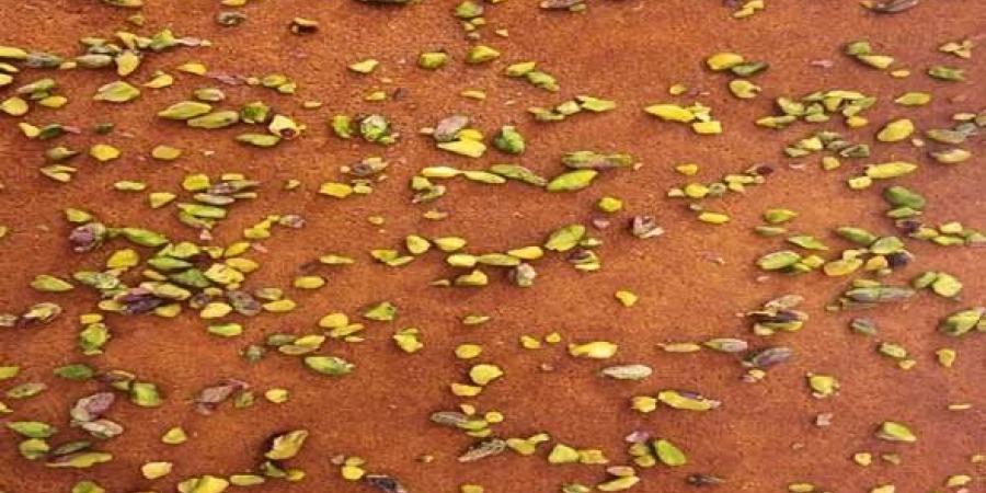 البسبوسة باللوز وجوز الهند