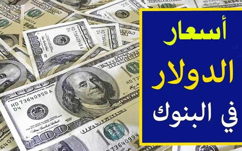  سعر الدولار اليوم فى مصر الخميس 16 فبراير 2024